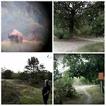 Op Rustig Park In De