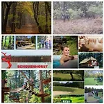 Op Rustig Park In De