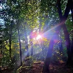 シャレー Op Rustig Park In De *