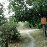 Chalet Op Rustig Park In De Putten