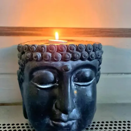 Chalet Op Rustig Park In De