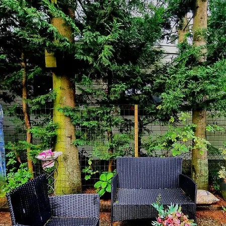 Op Rustig Park In De Chalet *