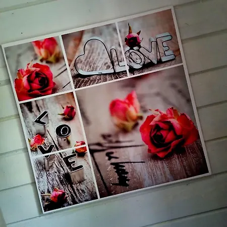 Chalet Op Rustig Park In De