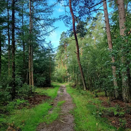 Op Rustig Park In De Chalet *