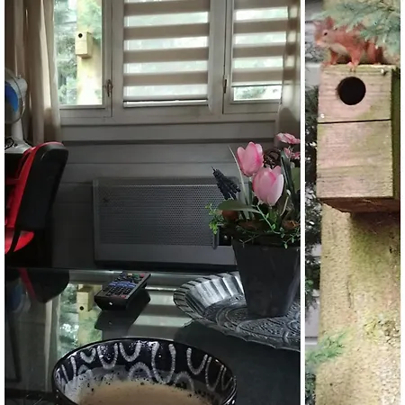 Op Rustig Park In De Chalet Putten
