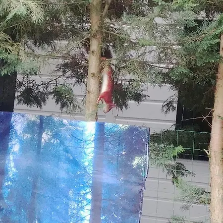 Op Rustig Park In De シャレー *
