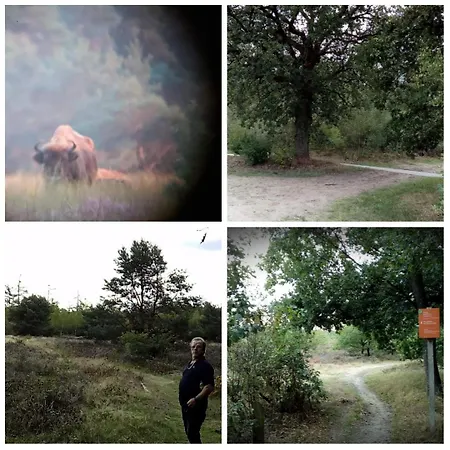 Op Rustig Park In De