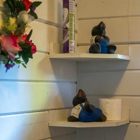 Chalet Op Rustig Park In De Putten