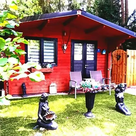 Op Rustig Park In De Putten