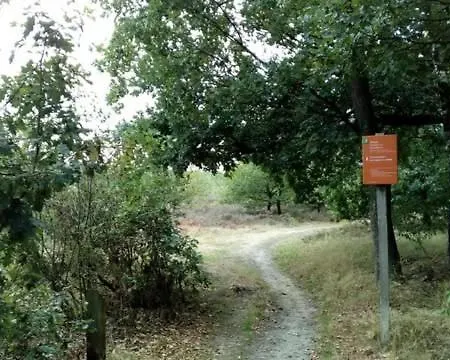 シャレー Op Rustig Park In De