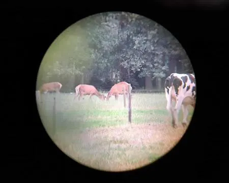 Op Rustig Park In De * プッテン