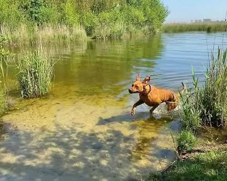 Op Rustig Park In De