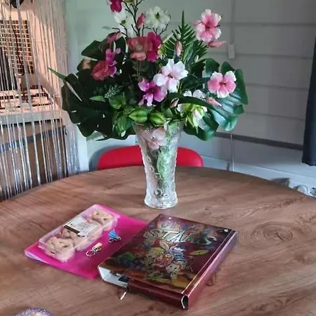 Chalet Op Rustig Park In De *