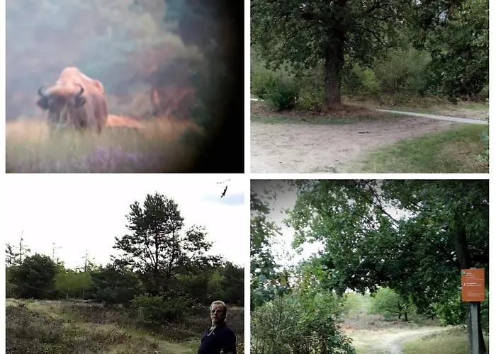 Op Rustig Park In De