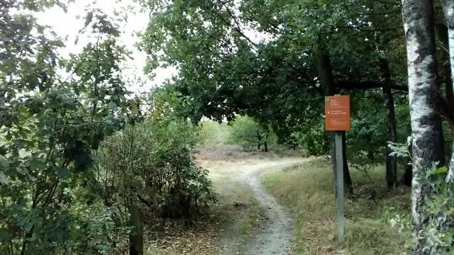 شاليه Op Rustig Park In De بوتِنْ