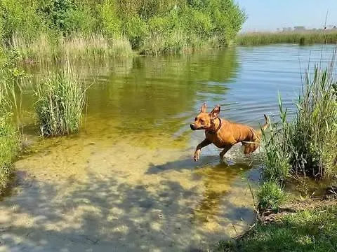 Op Rustig Park In De