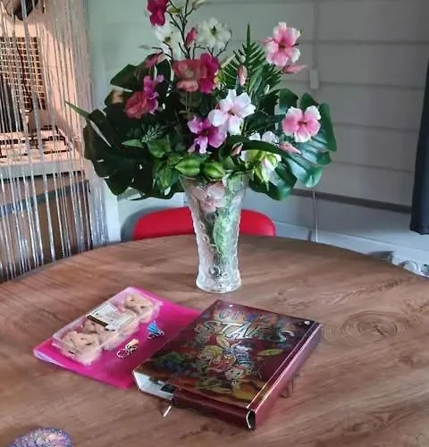 شاليه Op Rustig Park In De *