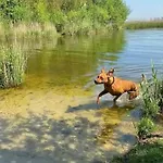 Op Rustig Park In De
