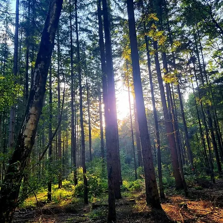 Op Rustig Park In De Alpesi faház