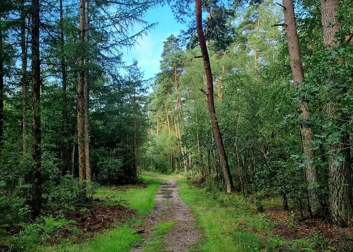 Op Rustig Park In De Domek alpejski *