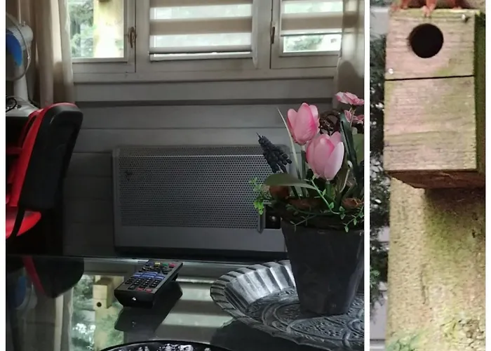 Op Rustig Park In De Domek alpejski Putten