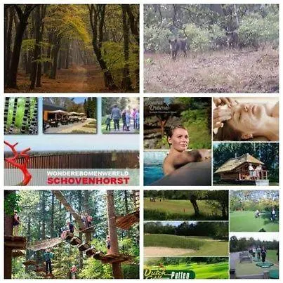 Op Rustig Park In De