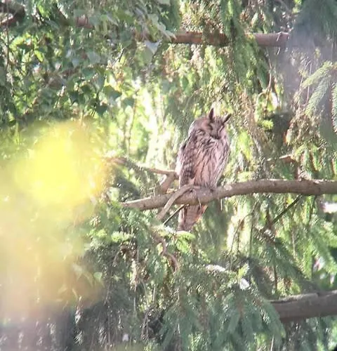 Op Rustig Park In De