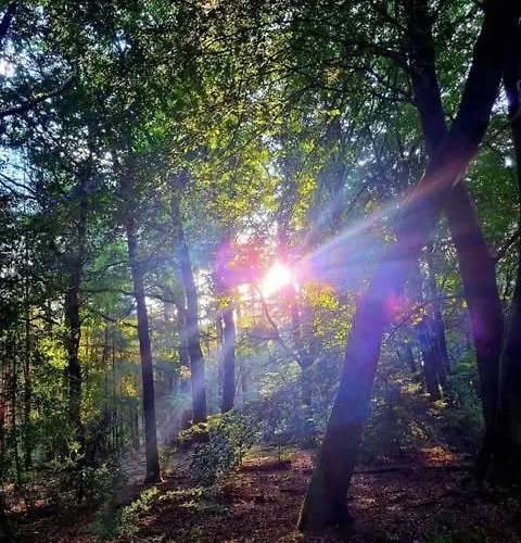 Domek alpejski Op Rustig Park In De *