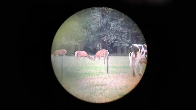 Op Rustig Park In De * Putten